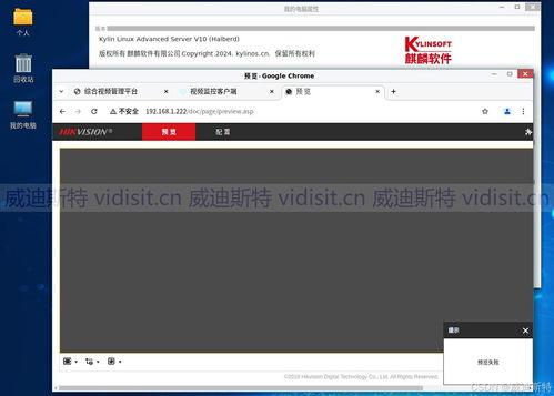 国产视频在线网站,探索国内在线平台的魅力之旅